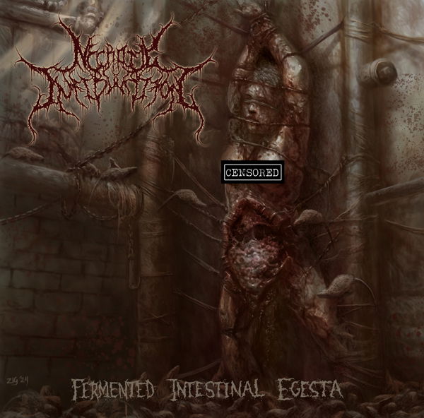 CD Shop - NECROTIC INFIBULATION FERMENTED INTESTINAL E...
