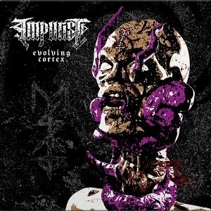 CD Shop - IMPURIST EVOLVING CORTEX