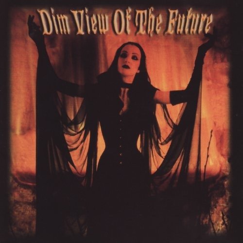 CD Shop - VARIOUS ARTISTS DIM VIEW OF THE FUTURE