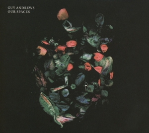 CD Shop - GUY ANDREWS OUR SPACES