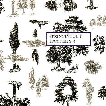 CD Shop - SPRINGINTGUT POSTEN 90