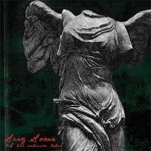 CD Shop - GREY GOOSE TIL THE MEDICINE TAKES