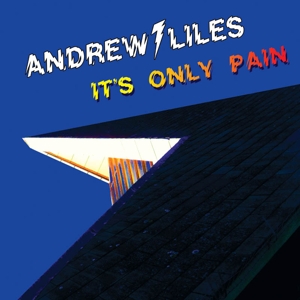 CD Shop - ANDREW LILES IT\