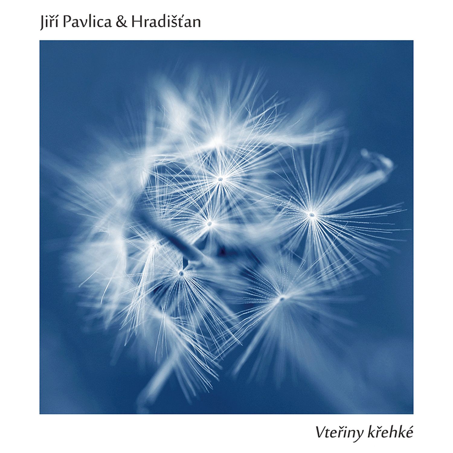 CD Shop - HRADISTAN & JIRI PAVLICA 