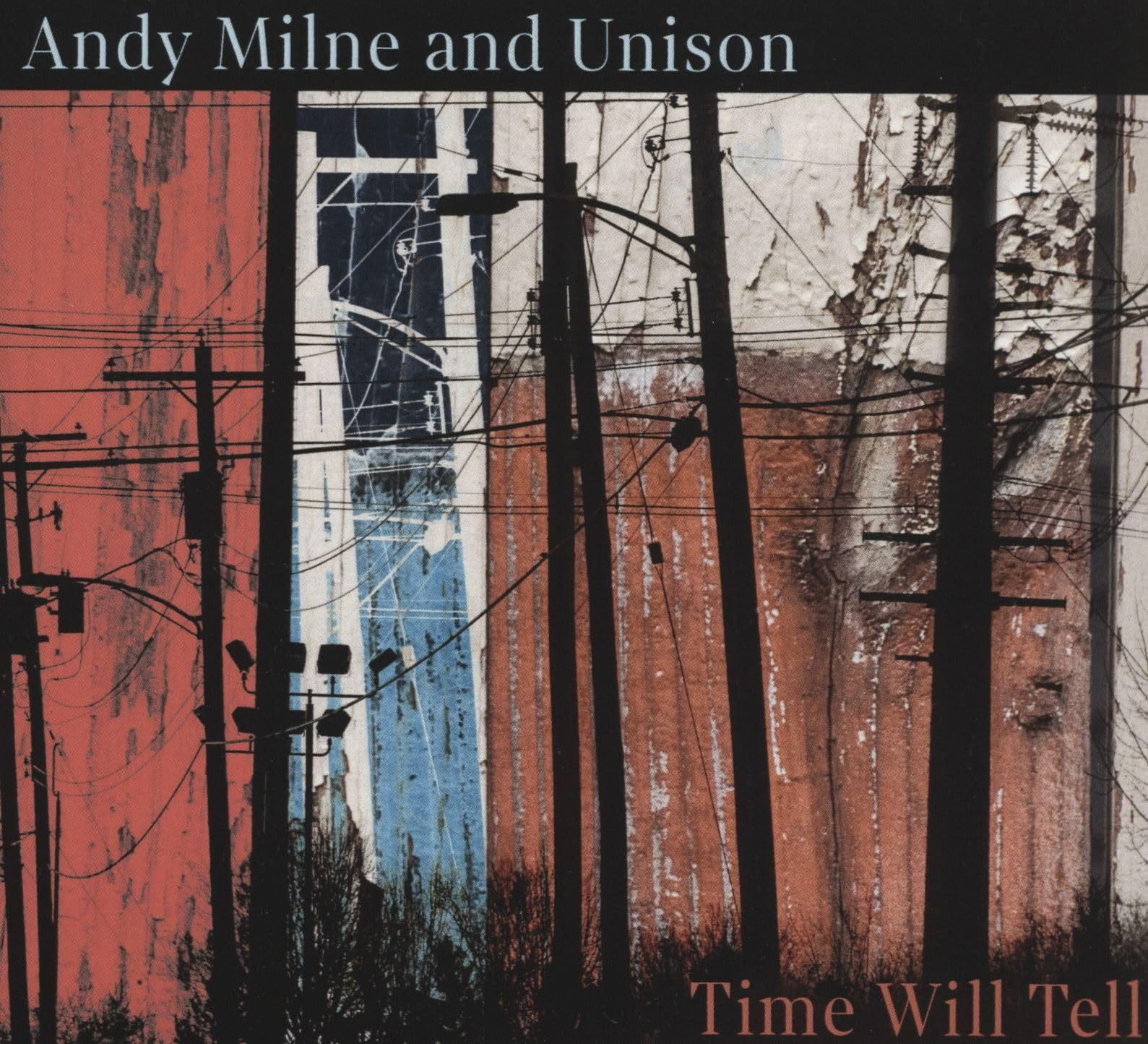 CD Shop - ANDY MILNE TIME WILL TELL