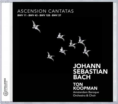 CD Shop - AMSTERDAM BAROQUE ORCHESTRA,TON KOOPMAN BACH: ASCENSION CANTATAS