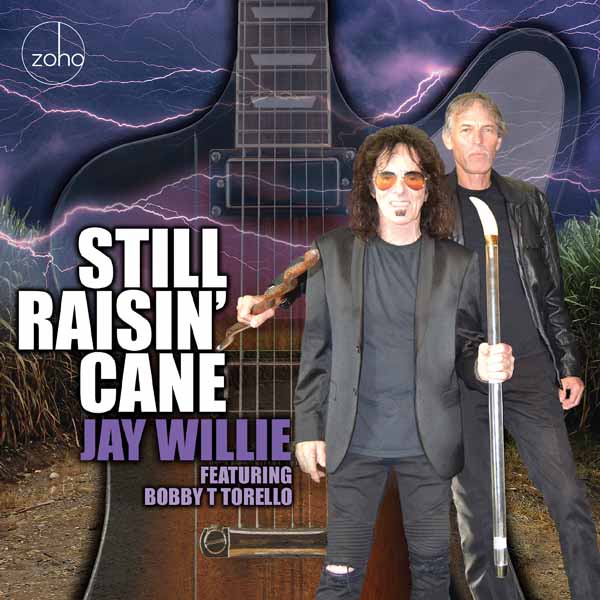 CD Shop - JAY WILLIE STILL RAISIN\