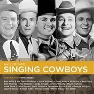 CD Shop - VARIOUS ARTISTS HALL OF FAME: THE SING...