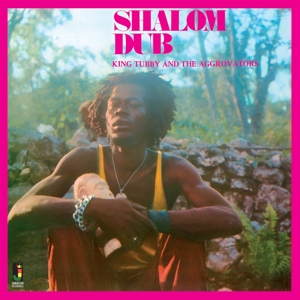 CD Shop - KING TUBBY,AGGROVATORS SHALOM DUB