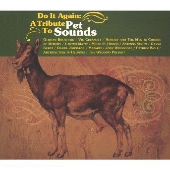CD Shop - BEACH BOYS.=TRIBUTE= DO IT AGAIN: A TRIBUTE TO