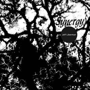 CD Shop - JEFF LIBERMAN SYNERGY