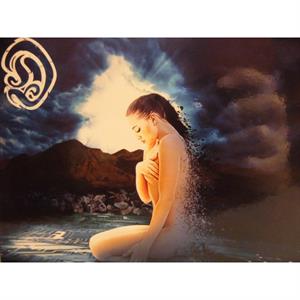 CD Shop - D PROJECT FIND YOUR SUN -DIGI-