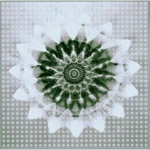 CD Shop - JON HASSELL VS 808 STATE VOICEPRINT