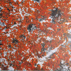 CD Shop - BORDER ONE SPECTRAL TENSION
