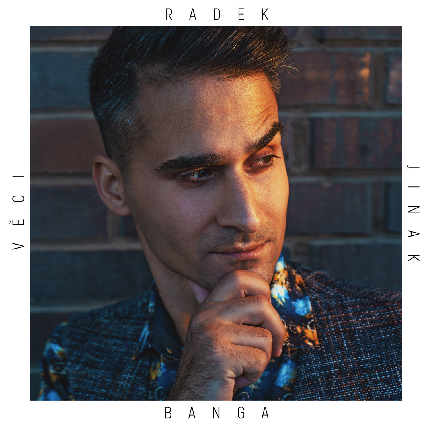 CD Shop - BANGA RADEK VECI JINAK