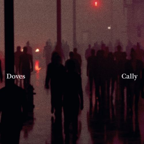 CD Shop - DOVES CALLY / LEAN INTO THE WIND