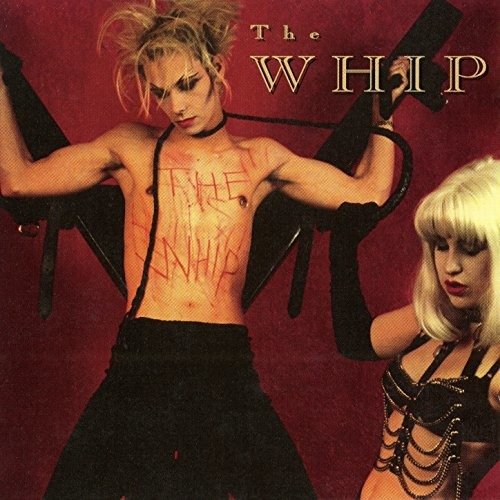 CD Shop - VARIOUS ARTISTS WHIP 2001