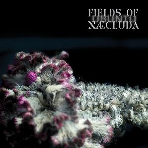 CD Shop - FIELDS OF NAECLUDA UBUNTU