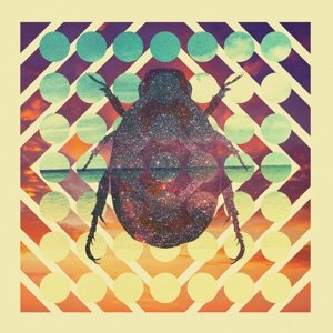 CD Shop - BEARDYMAN DISTRACTIONS