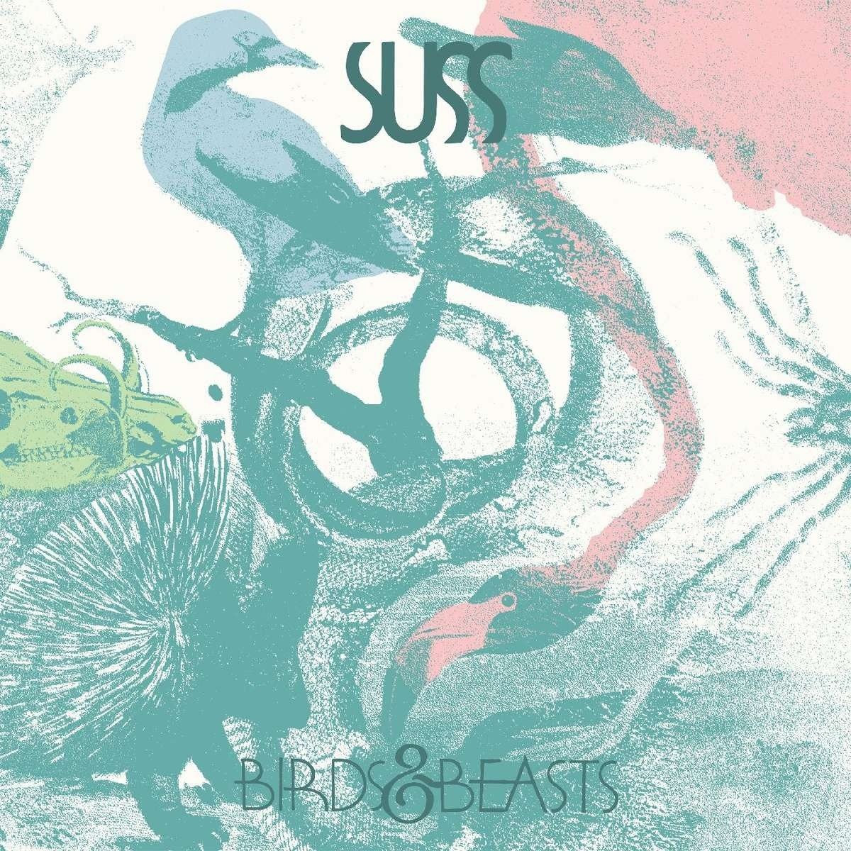 CD Shop - SUSS BIRDS & BEASTS