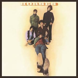 CD Shop - HORSES HORSES (KOR)
