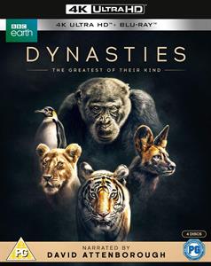 CD Shop -  DYNASTIES