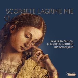 CD Shop - LUC BEAUSéJOUR STROZZI, GROSSI DA VIA...