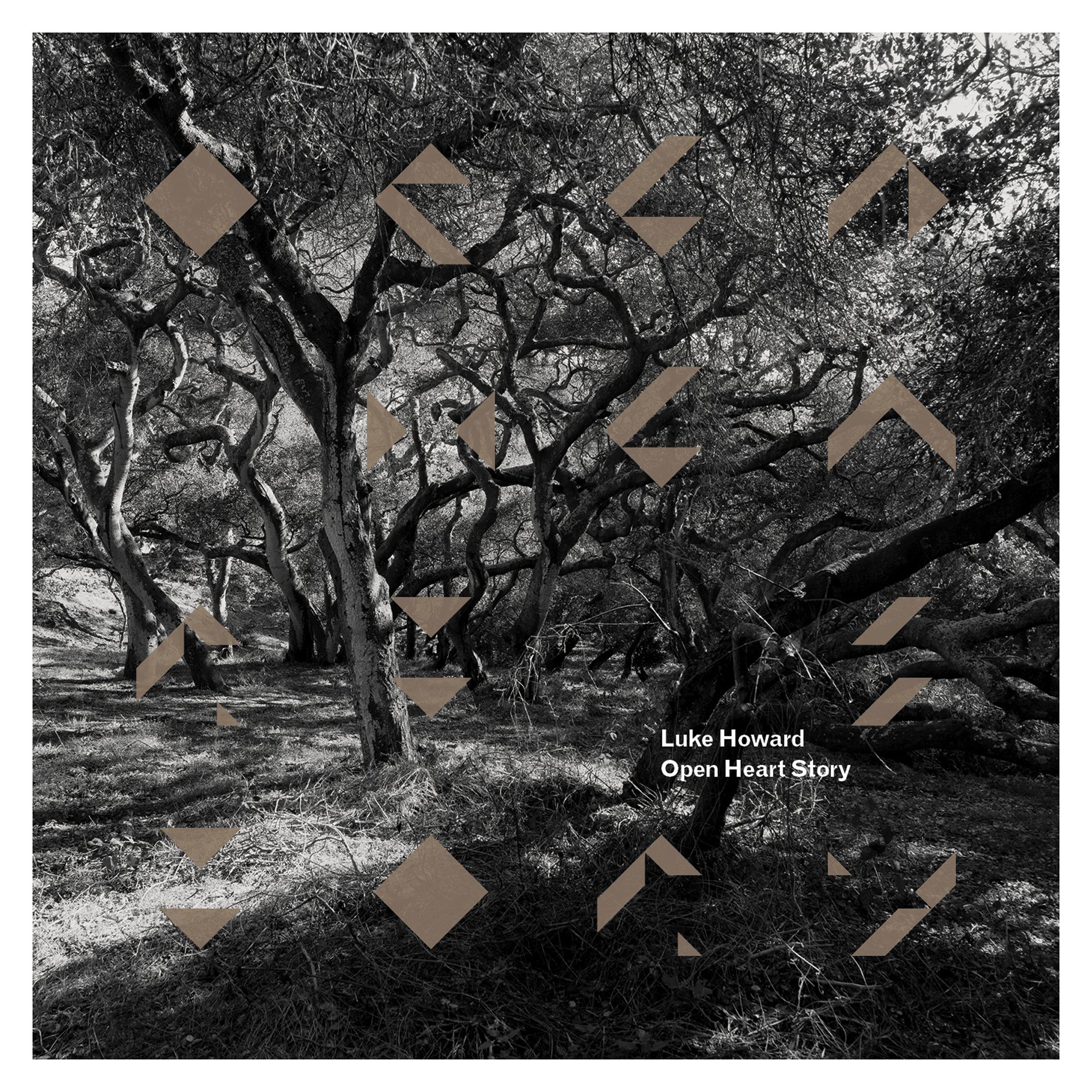 CD Shop - LUKE HOWARD OPEN HEART STORY