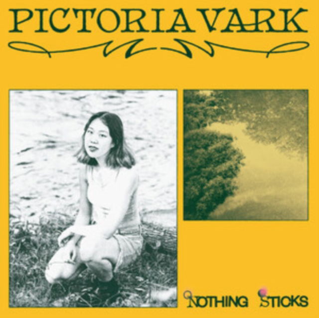 CD Shop - PICTORIA VARK NOTHING STICKS