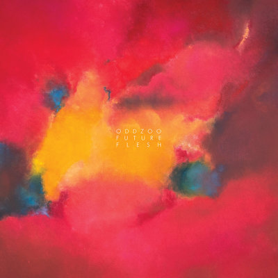 CD Shop - ODDZOO FUTURE FLESH