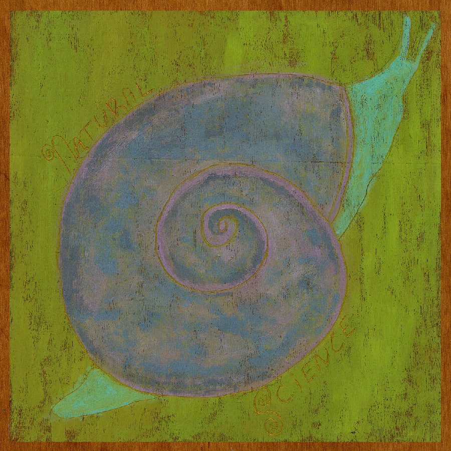 CD Shop - LINDSAY REAMER NATURAL SCIENCE