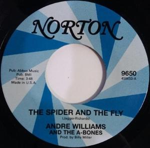 CD Shop - ANDRE WILLIAMS,THE GREASY CHICKENS 7-THE SPIDER AND THE F...