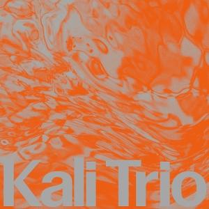 CD Shop - KALI TRIO PLAYFUL ABSTRACT
