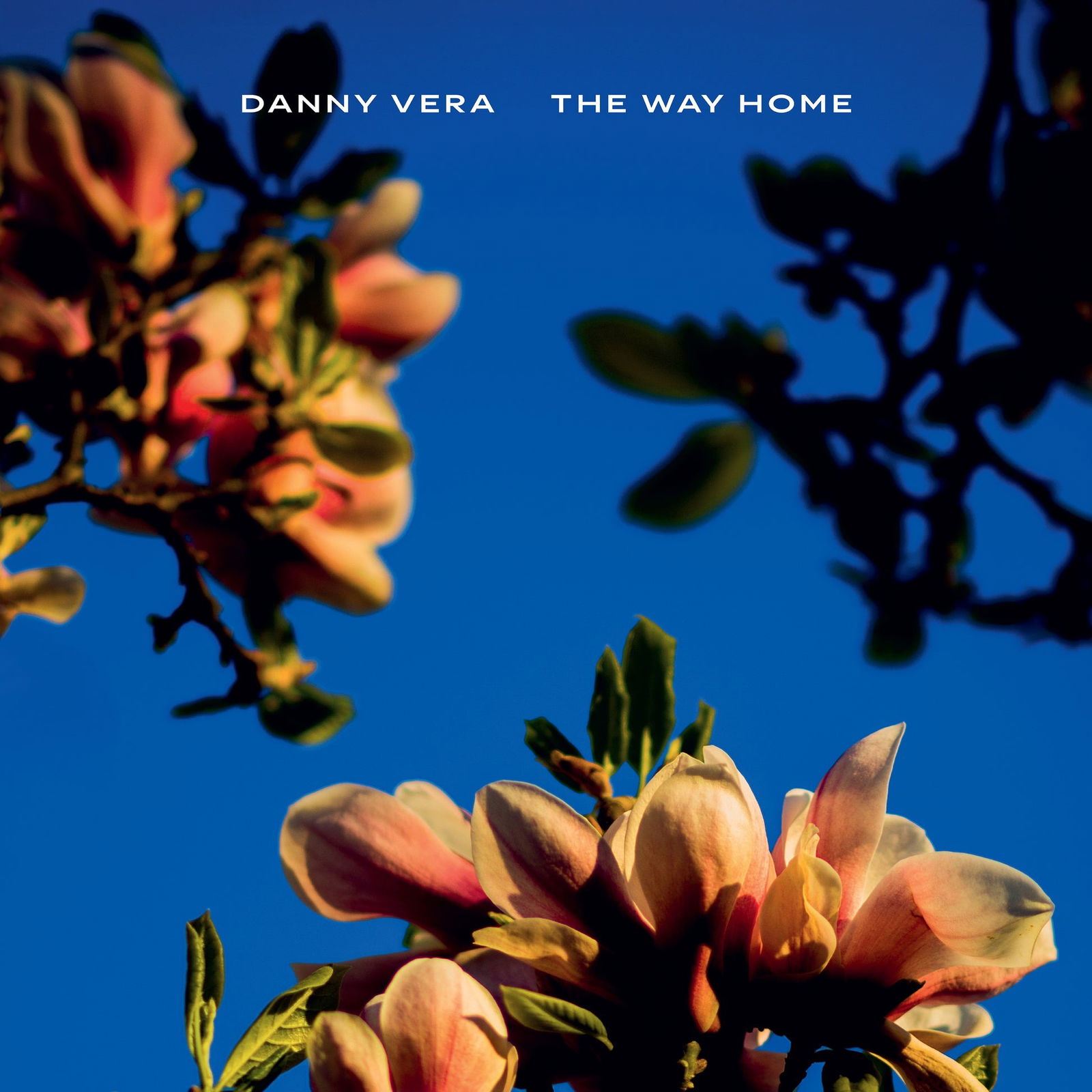 CD Shop - DANNY VERA WAY HOME