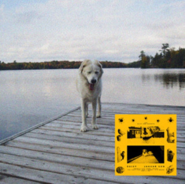 CD Shop - JAGUAR SUN DAISY