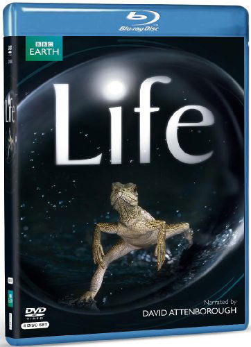 CD Shop -  LIFE (DOCUMENTARY)
