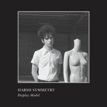 CD Shop - HARSH SYMMETRY DISPLAY MODEL