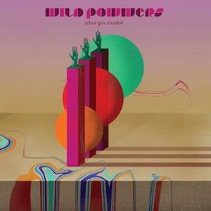 CD Shop - WILD POWWERS WHAT YOU WANTED