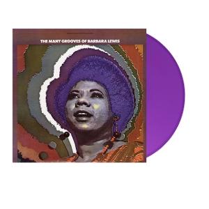 CD Shop - BARBARA LEWIS MANY GROOVES OF BARBAR...