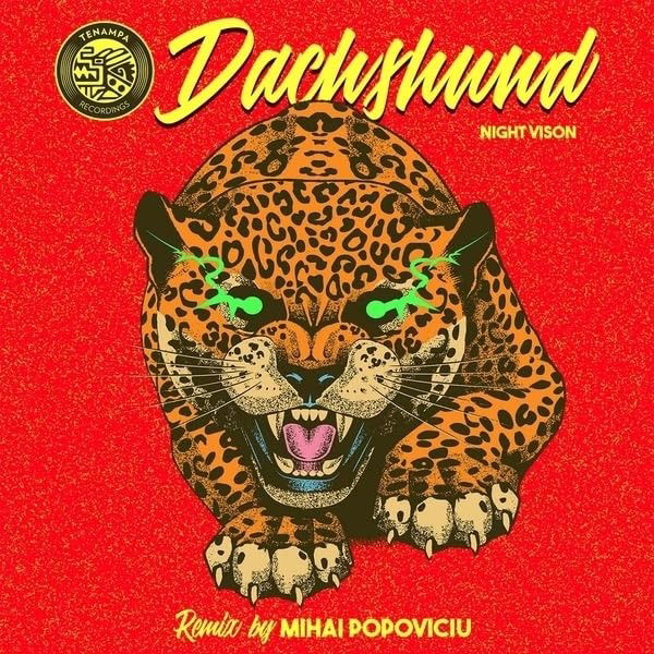 CD Shop - DACHSHUND NIGHT VISION