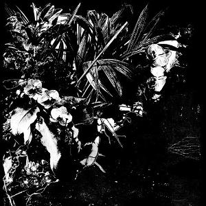 CD Shop - JEFF MERTENS ORCHID ALTO