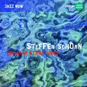 CD Shop - STEFFEN -ENSEMBLE- SCHORN CELLULAR STRUCTURES