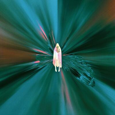CD Shop - SILENT PLANET IRIDESCENT