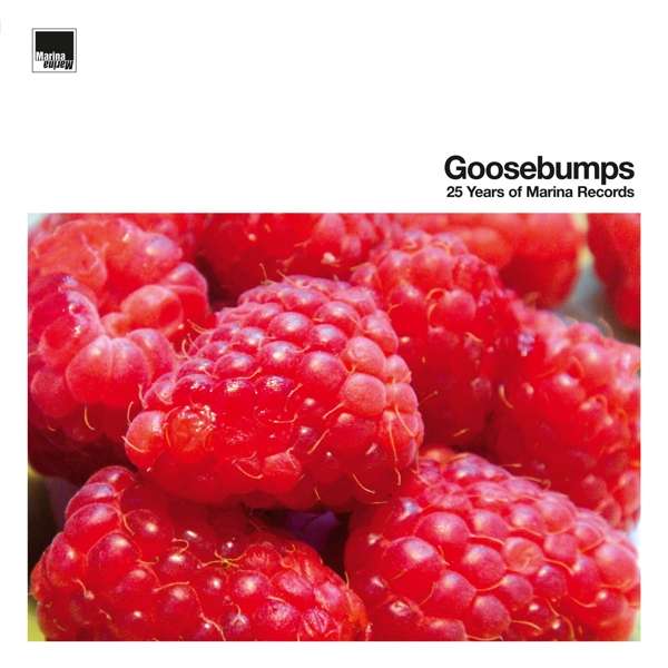 CD Shop - VARIOUS ARTISTS GOOSEBUMPS 25 YEARS OF