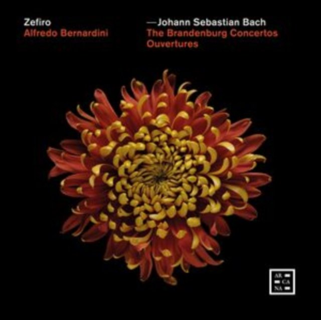 CD Shop - ZEFIRO BACH: THE BRANDENBURG..