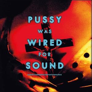 CD Shop - ROBERT JOHNSON AND PUNCHDRUNKS PUSSY WAS WIRED FOR SOUND
