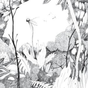 CD Shop - BACK & FORTH TIME WHISPERS