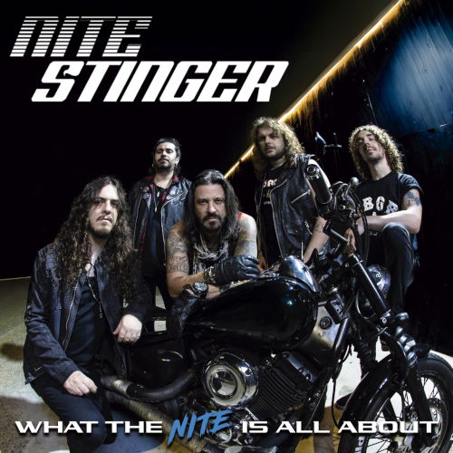CD Shop - NITE STINGER WHAT THE NITE IS ALL A...