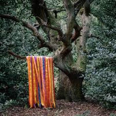CD Shop - JAMES HOLDEN & THE ANIMAL SPIRITS THE