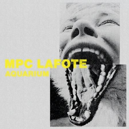 CD Shop - MPC LAFOTE AQUARIUM